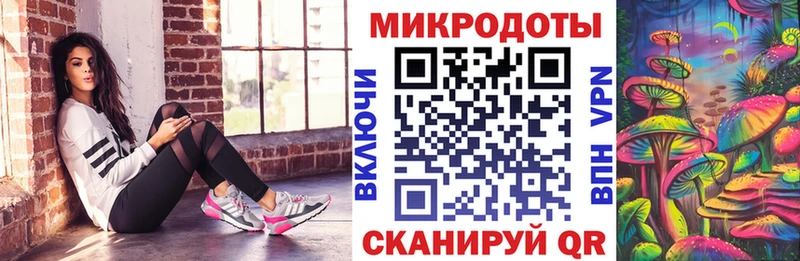 Псилоцибиновые грибы Psilocybe где купить Назрань